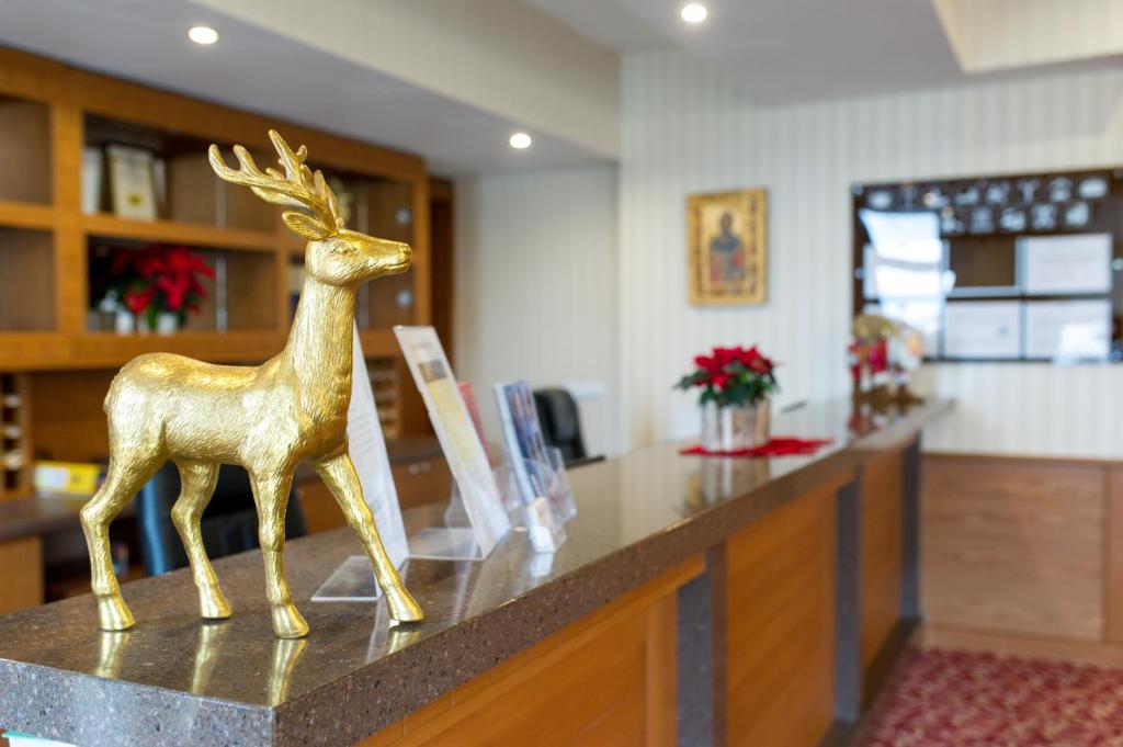 Hotel rest Vihren Palace Ski & Spa Bansko