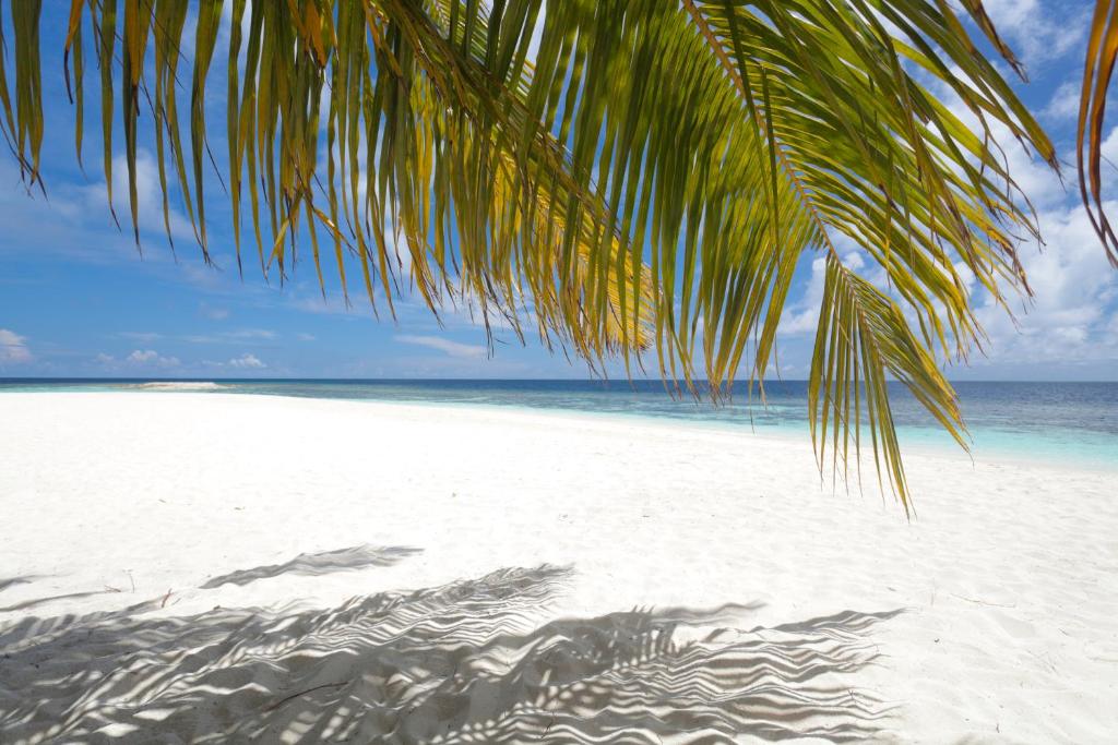 Sandies Bathala Island Resort, Ари & Расду Атоллы