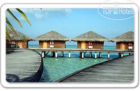 Bolifushi Island Resort & Spa , Мальдивы, Мале, туры, фото и отзывы