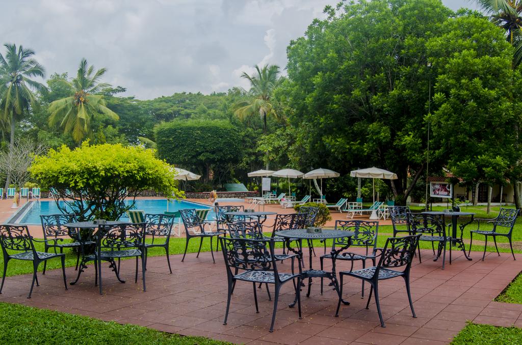 Tamarind Tree Hotel, Негомбо цены