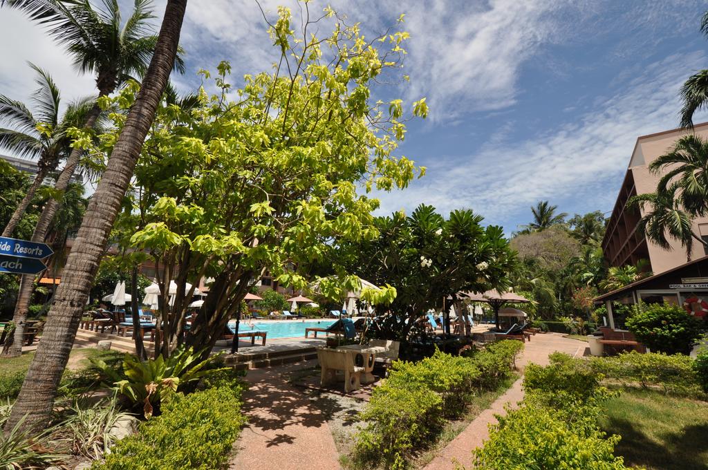 Basaya Beach Hotel, фото готелю 81