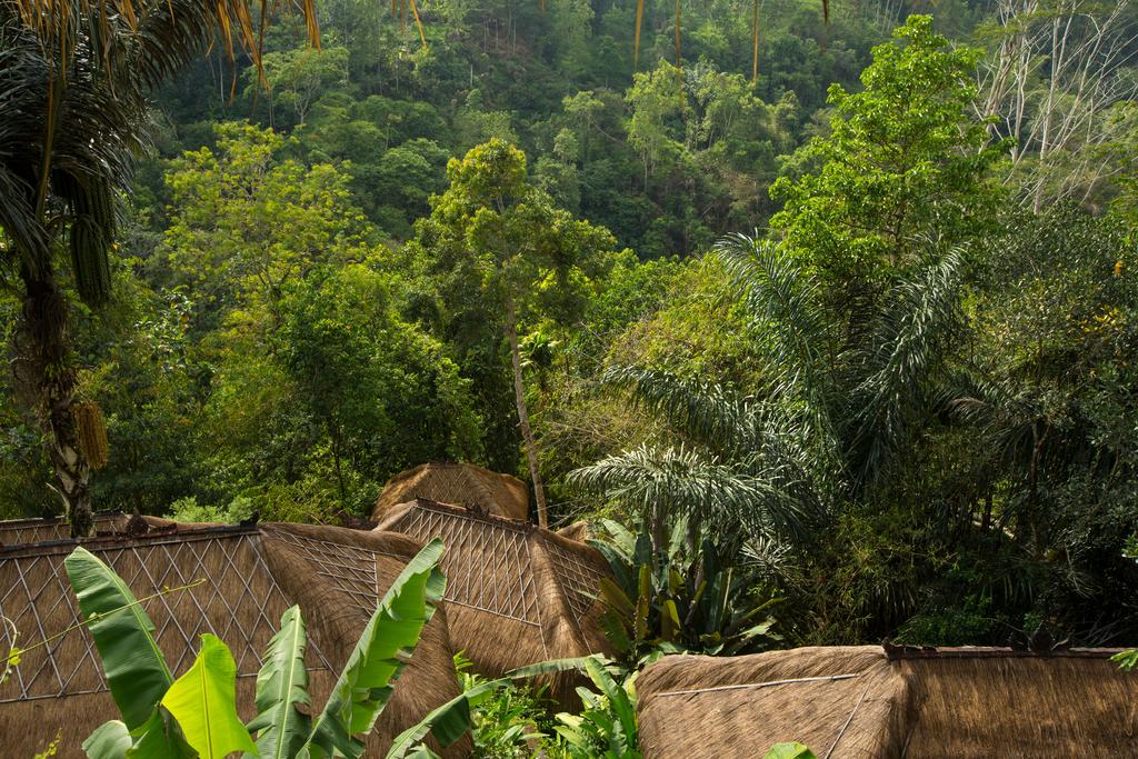 Nandini Bali Jungle & Spa Ubud, Убуд