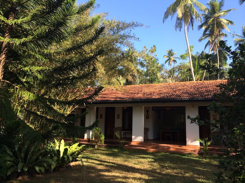 Shanthi guest house, APP, фотографии