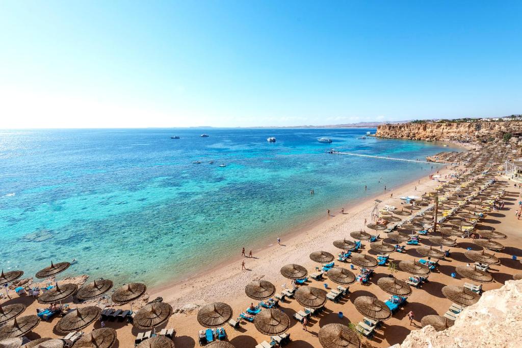 Reef Oasis Beach Resort, Sharm el-Sheikh, photos of tours