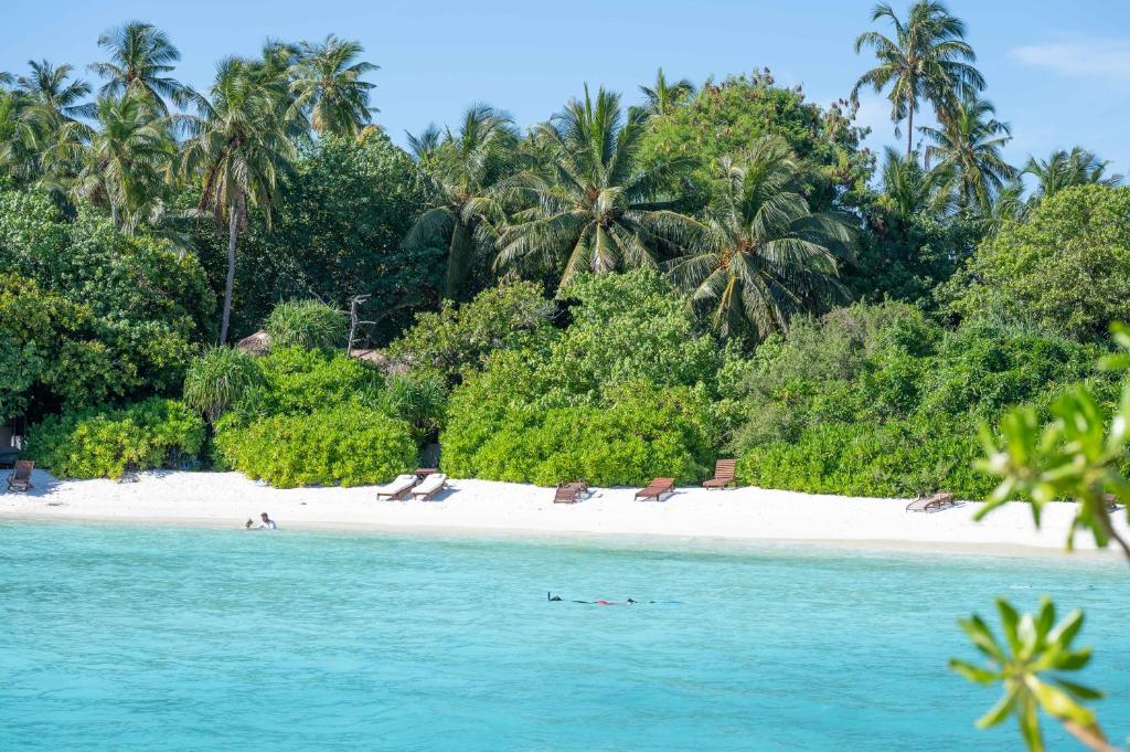 Makunudu Island, Мальдивы, Северный Мале Атолл, туры, фото и отзывы