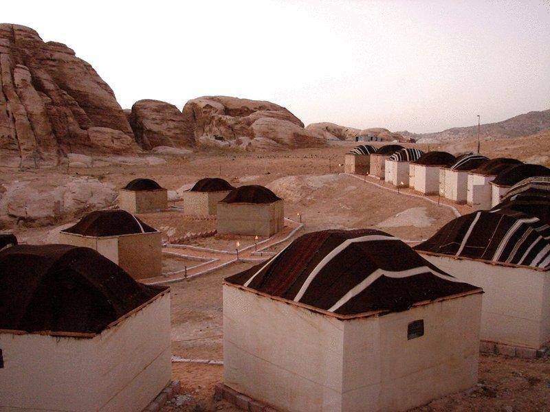 Seven Wonders Bedouin Camp, Petra ceny