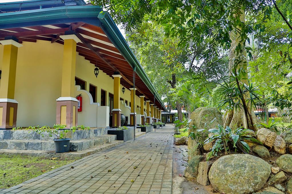 Туры в отель Miridiya Lake Resort Анурадхапура Шри-Ланка