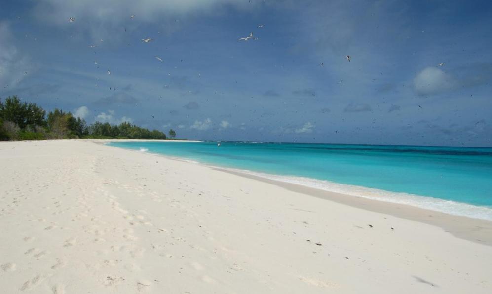 Сейшелы Bird Island Seychelles - Private Island Villas