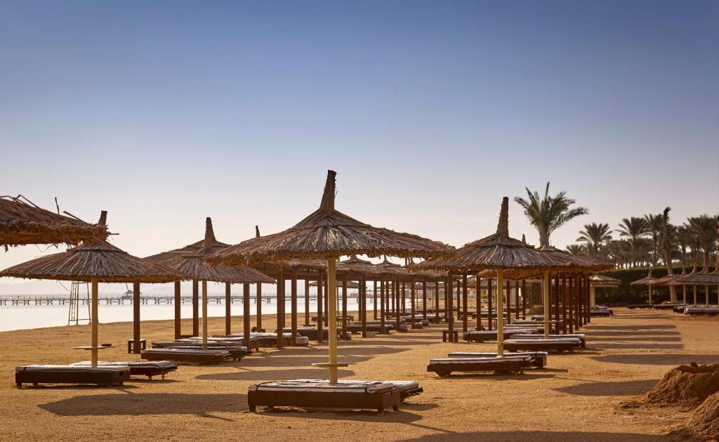 Hotel, Egipt, Szarm el-Szejk, Coral Sea Holiday Resort