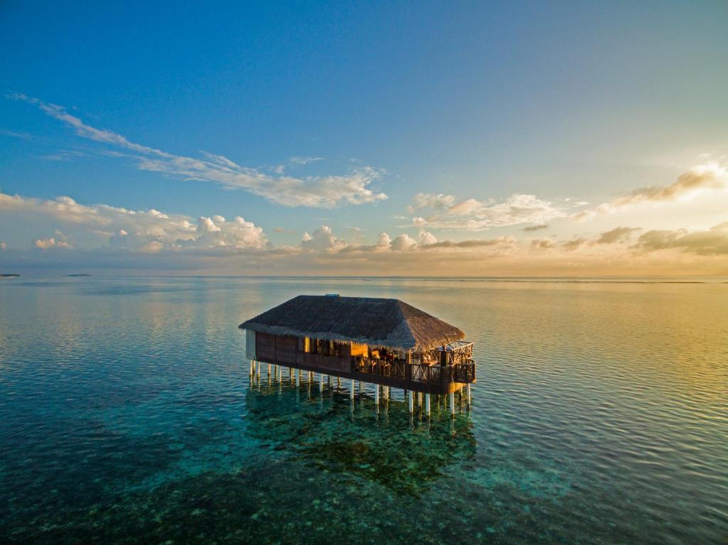 Отель, Мальдивы, Мииму Атолл, Medhufushi Island Resort