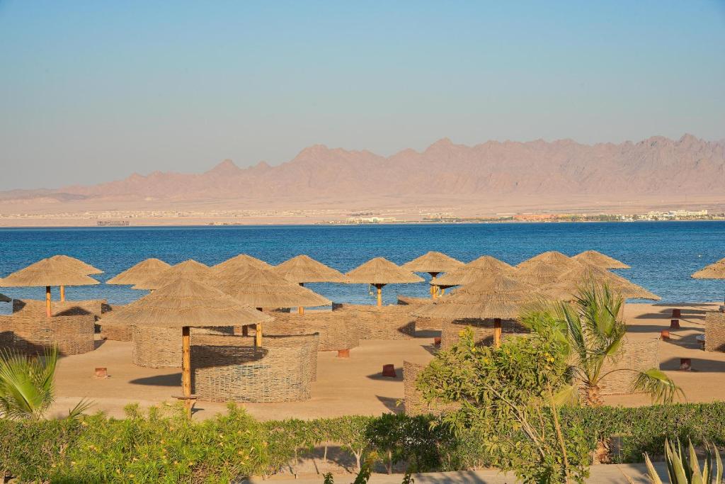 Отель, Сома-Бей, Египет, Sheraton Soma Bay and Aqua park