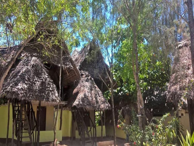 Malogo Nungwi, Нунгви, Танзания, фотографии туров
