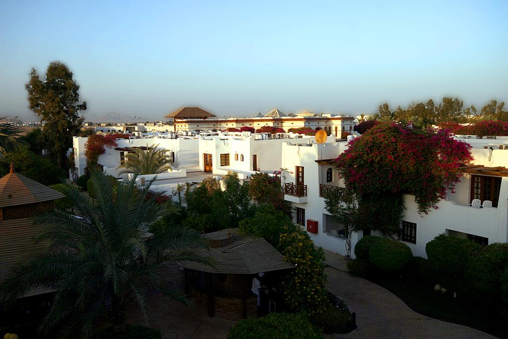 Mexicana Sharm, Szarm el-Szejk