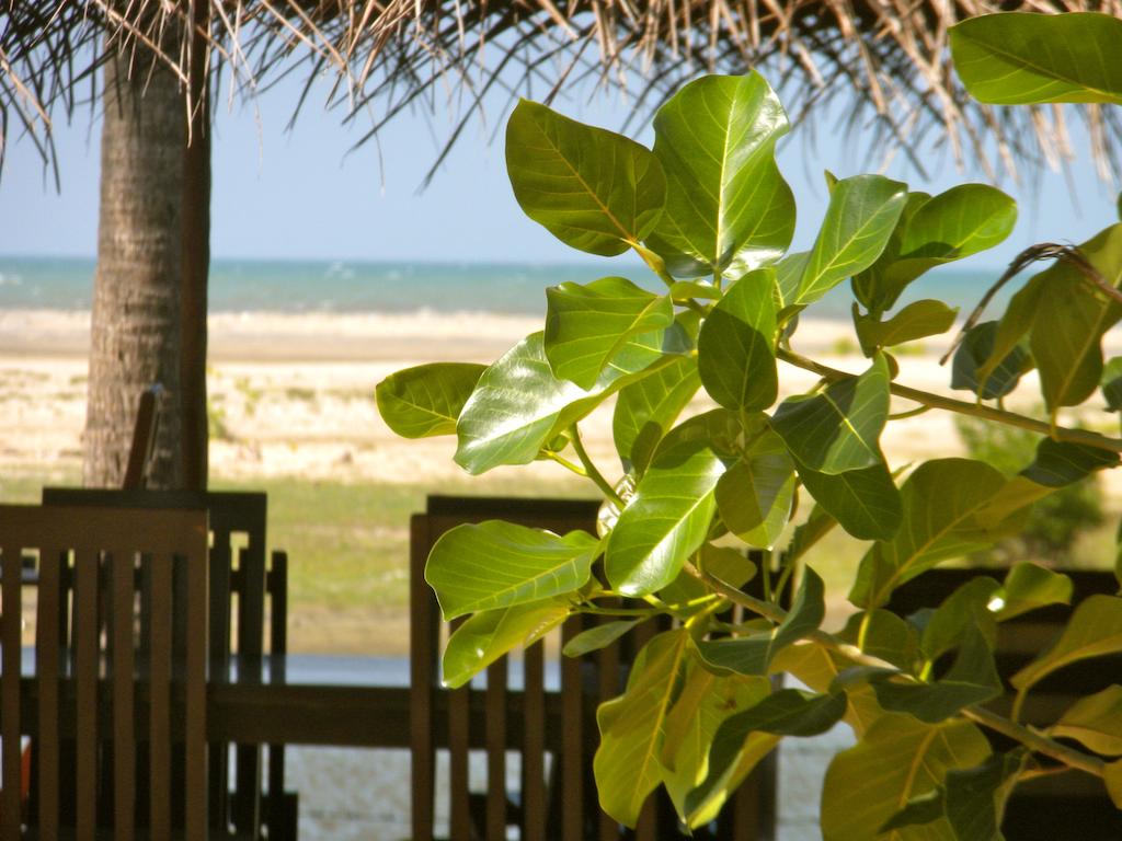 Фото готелю Diyamba Beach Resort