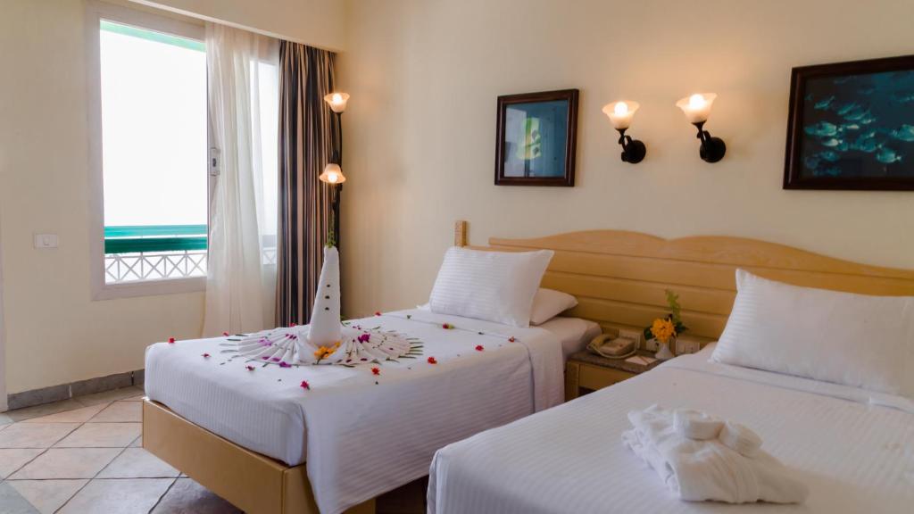 Відпочинок в готелі Coral Beach Resort Tiran Шарм-ель-Шейх