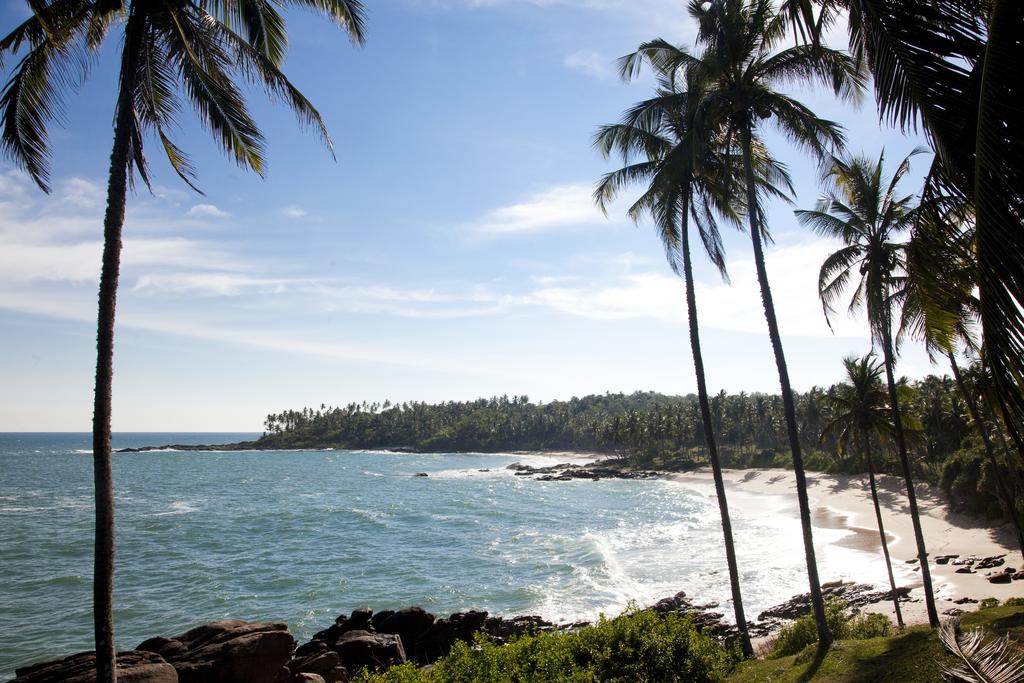 Tours to the hotel Palm Paradise Cabanas Tangalle Sri Lanka