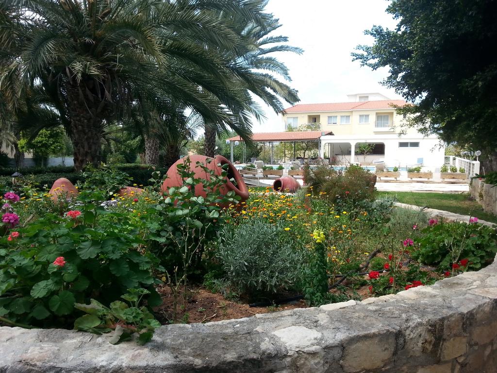 Отель, Кипр, Полис, Marion Hotel