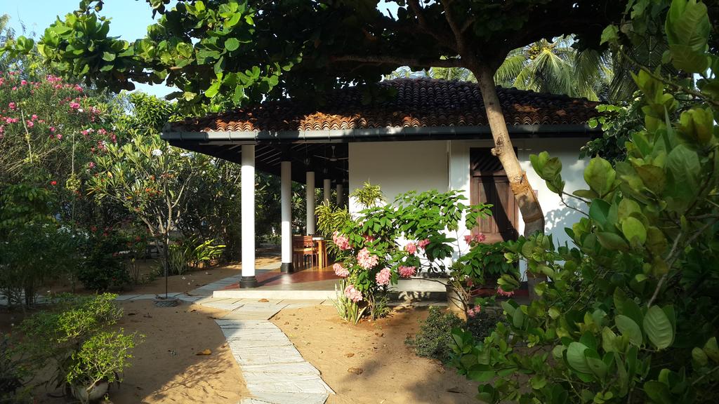 Туры в отель Danish Villa Аругам-Бей Шри-Ланка