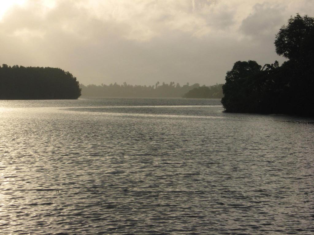 Mangrove Villa - Bentota River, Бентота, фотографии туров