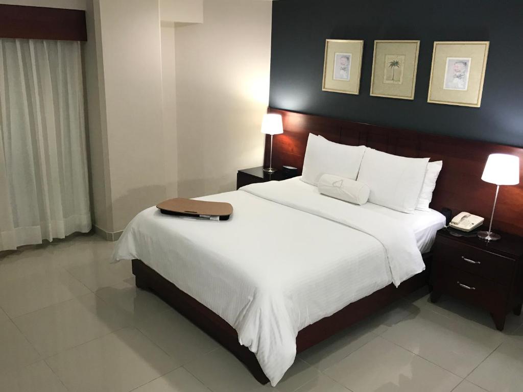 Hotel, Dominican Republic, Santiago De Los Caballeros, Hodelpa Gran Almirante