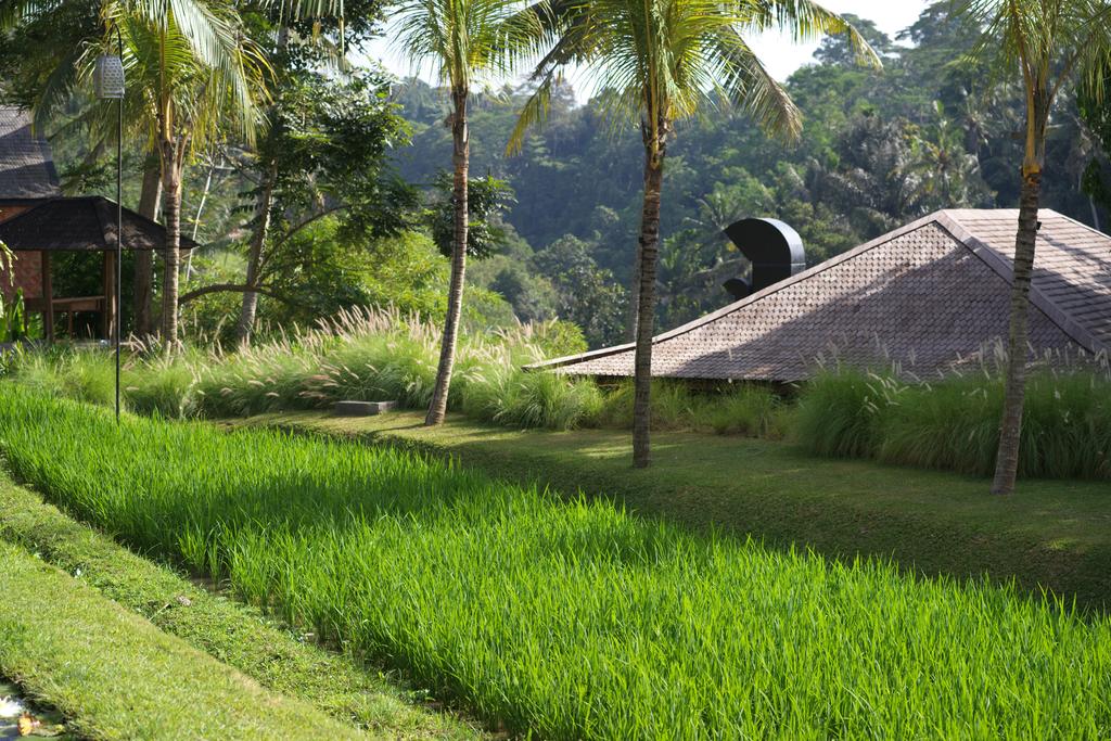 Відпочинок в готелі Chapung Se Bali Resort & Spa Убуд Індонезія