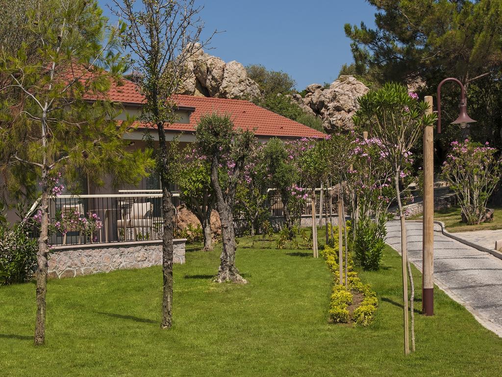 Відпочинок в готелі D-Resort Murat Reis Ayvalik