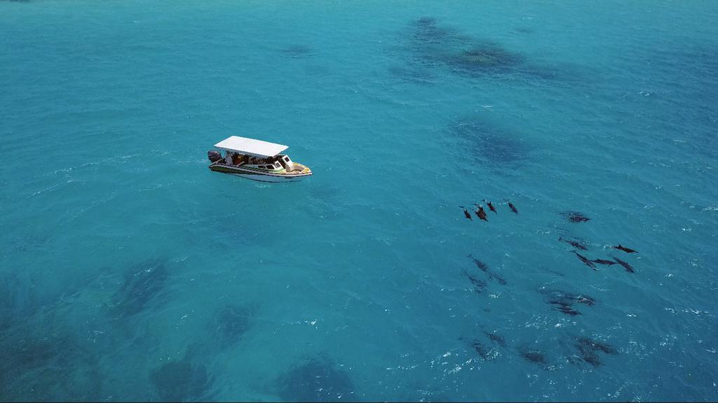 Ocean Retreat & Spa, Мальдивы, Мале, тури, фото та відгуки