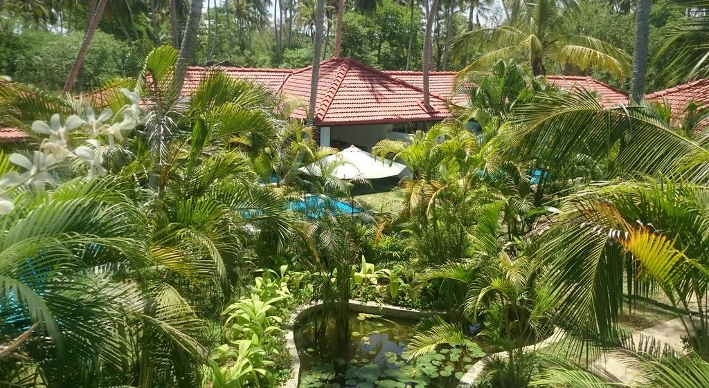 Горящие туры в отель Good Karma Тангалле Шри-Ланка