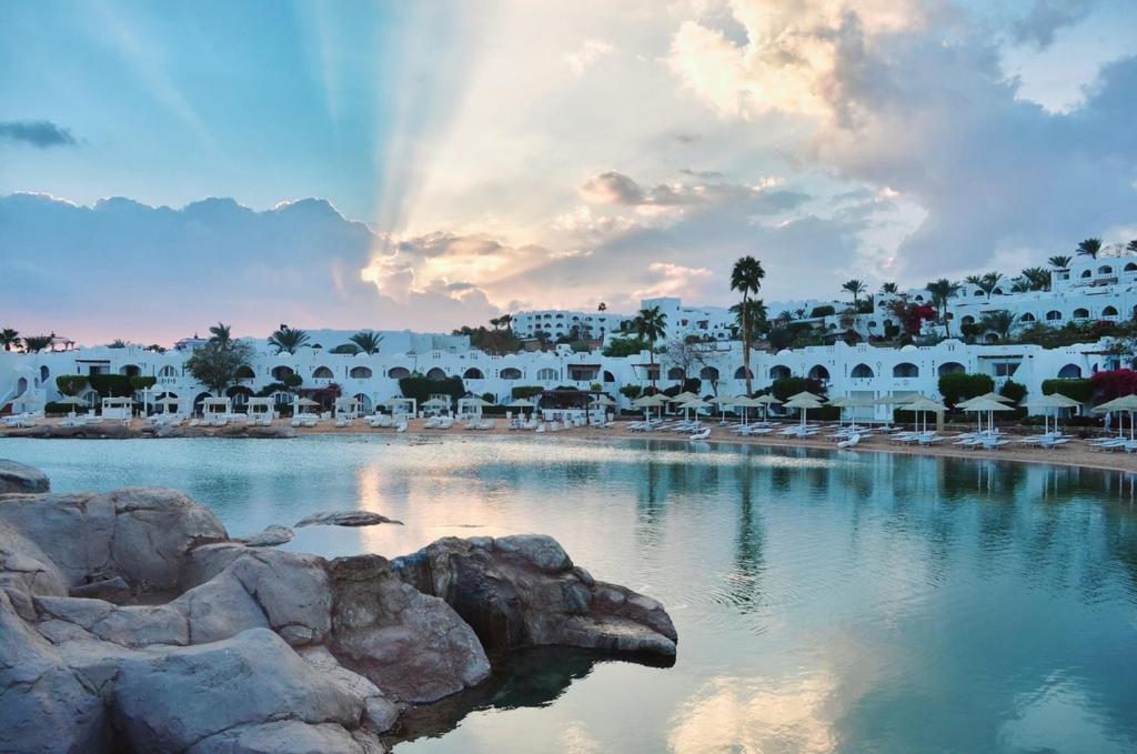 Горящие туры в отель Domina Coral Bay Sultan Шарм-эль-Шейх Египет