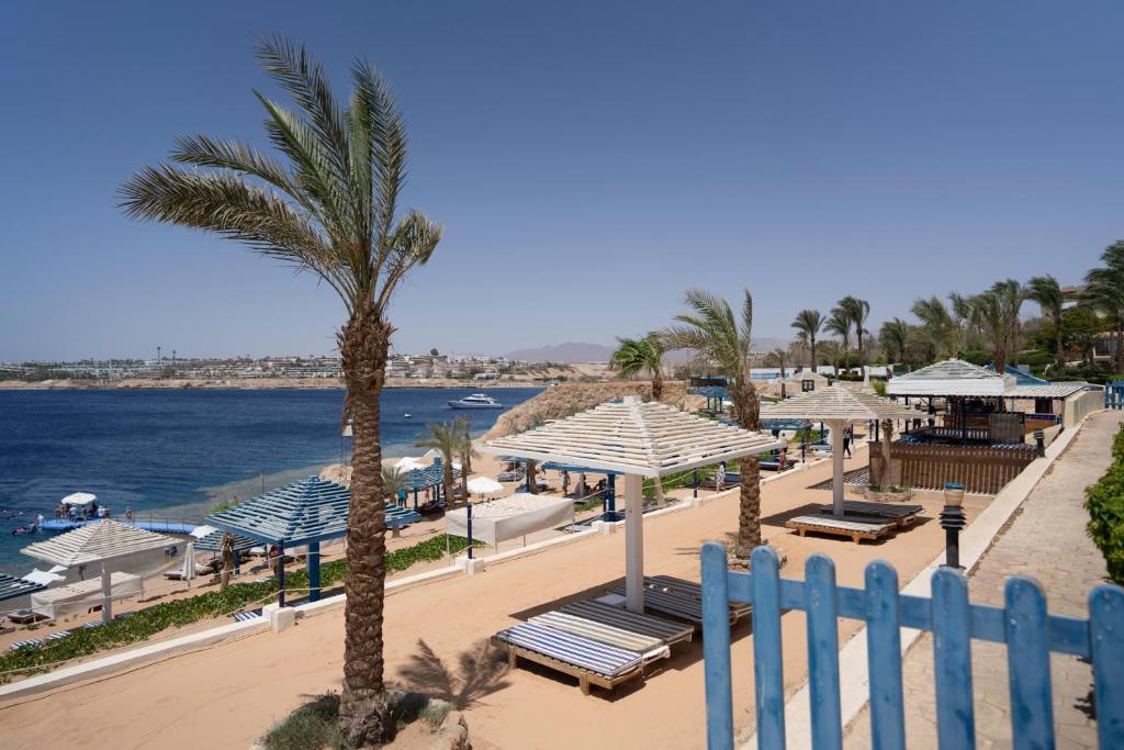 Горящие туры в отель Grand Oasis Resort Sharm El Sheikh Шарм-эль-Шейх