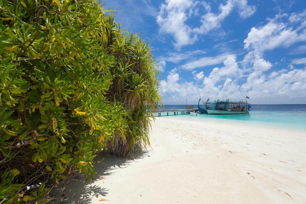 Malediwy Sandies Bathala Island Resort