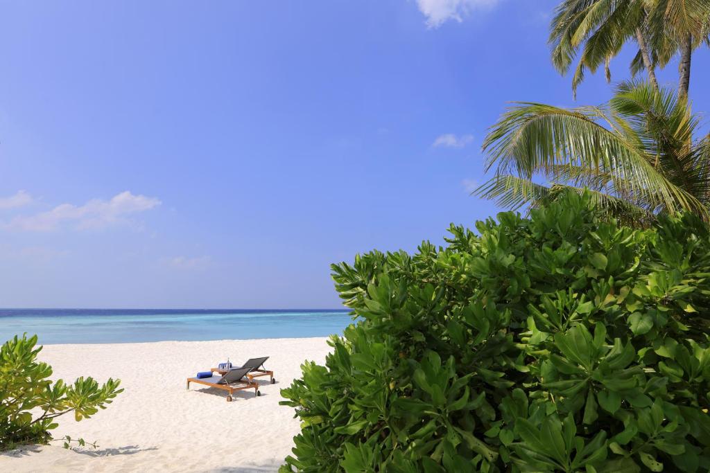 Avani+ Fares Maldives Resort, Мальдивы, Баа Атолл