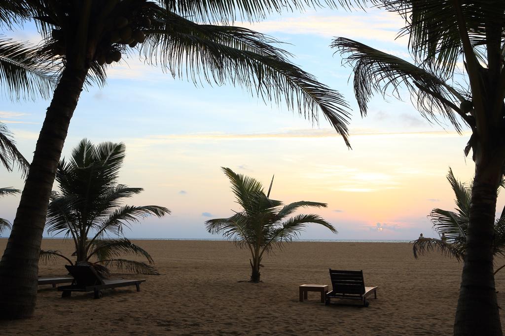 Jetwing Beach, Sri Lanka, Negombo, wakacje, zdjęcia i recenzje