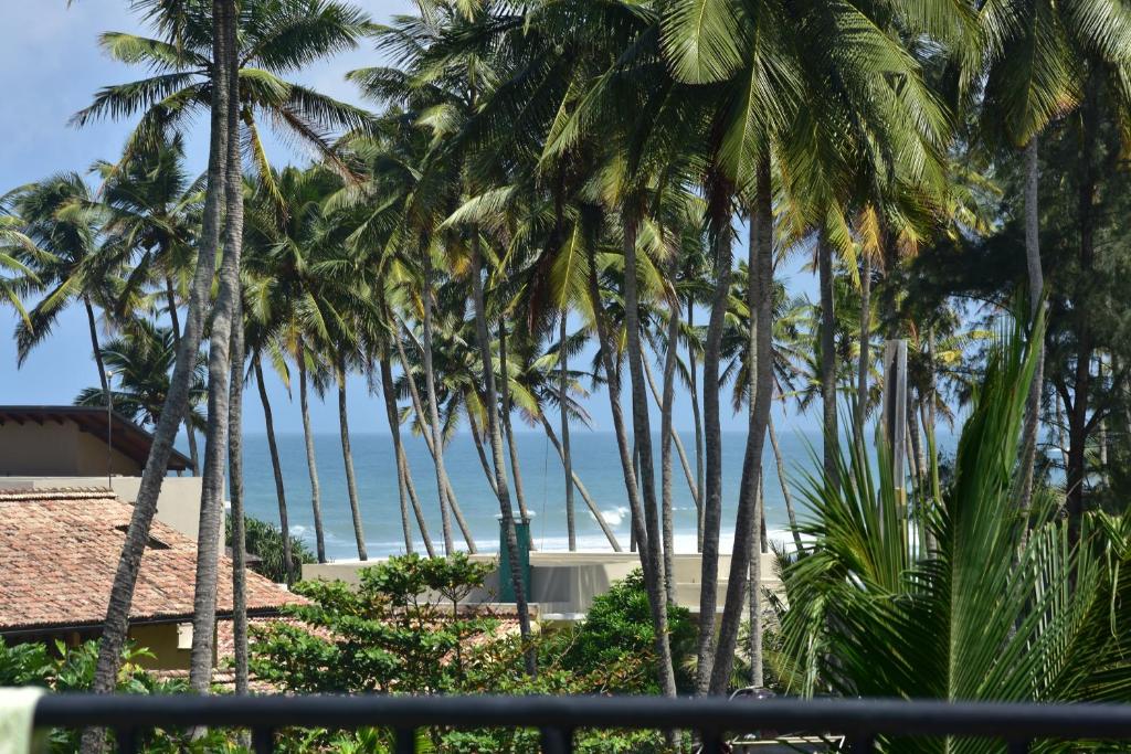 Green Almond Hotel, Унаватуна, Шри-Ланка, фотографии туров