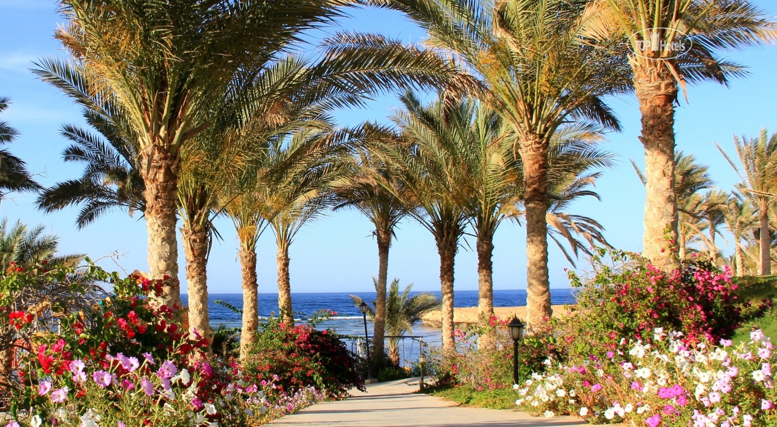 Туры в отель Brayka Lagoon Resort Марса Алам Египет