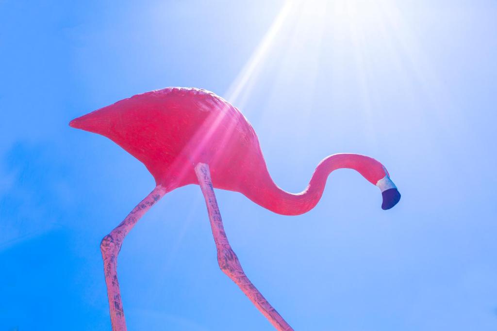 Flamingo Residence, фотографии туристов