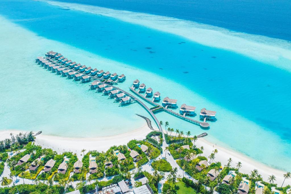 Hard Rock Hotel Maldives, Мале, фотографии туров