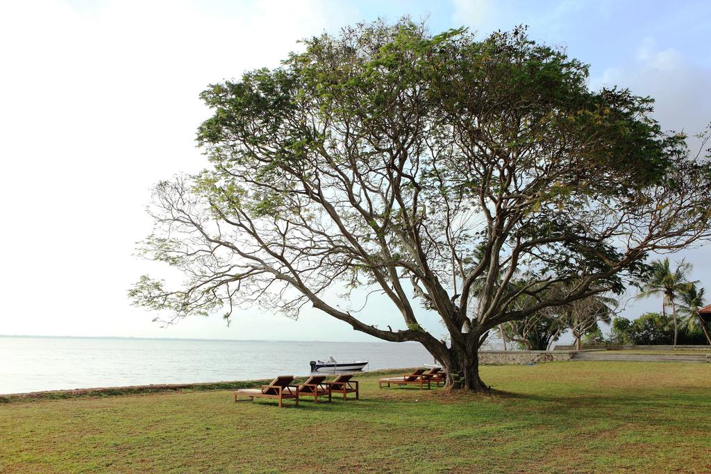 Odpoczynek w hotelu Jetwing Lagoon Negombo Sri Lanka