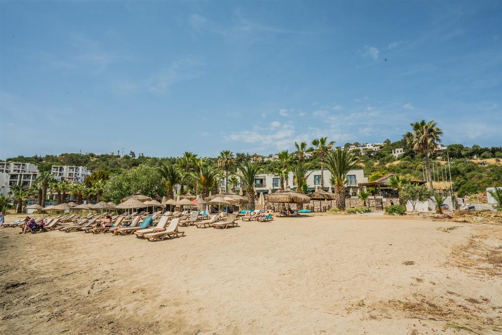 Costa 3s Beach Hotel, Турция, Бодрум, туры, фото и отзывы