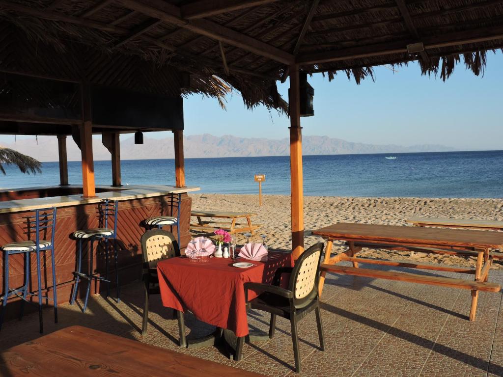 Відгуки про відпочинок у готелі, Time Coral Nuweiba Resort