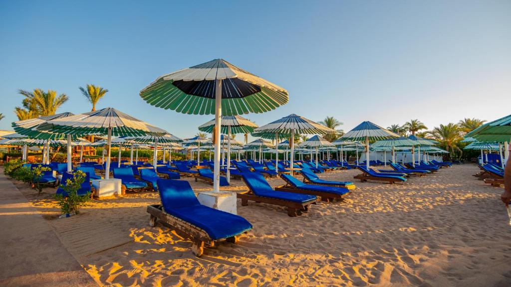 Ghazala Beach, Egipt, Szarm el-Szejk, wakacje, zdjęcia i recenzje