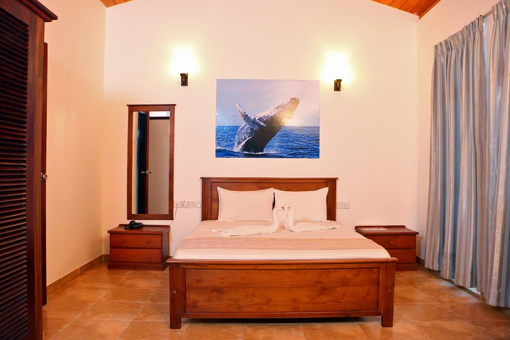 Roy Villa Beach Hotel, Берувела, Шрі-Ланка, фотографії турів