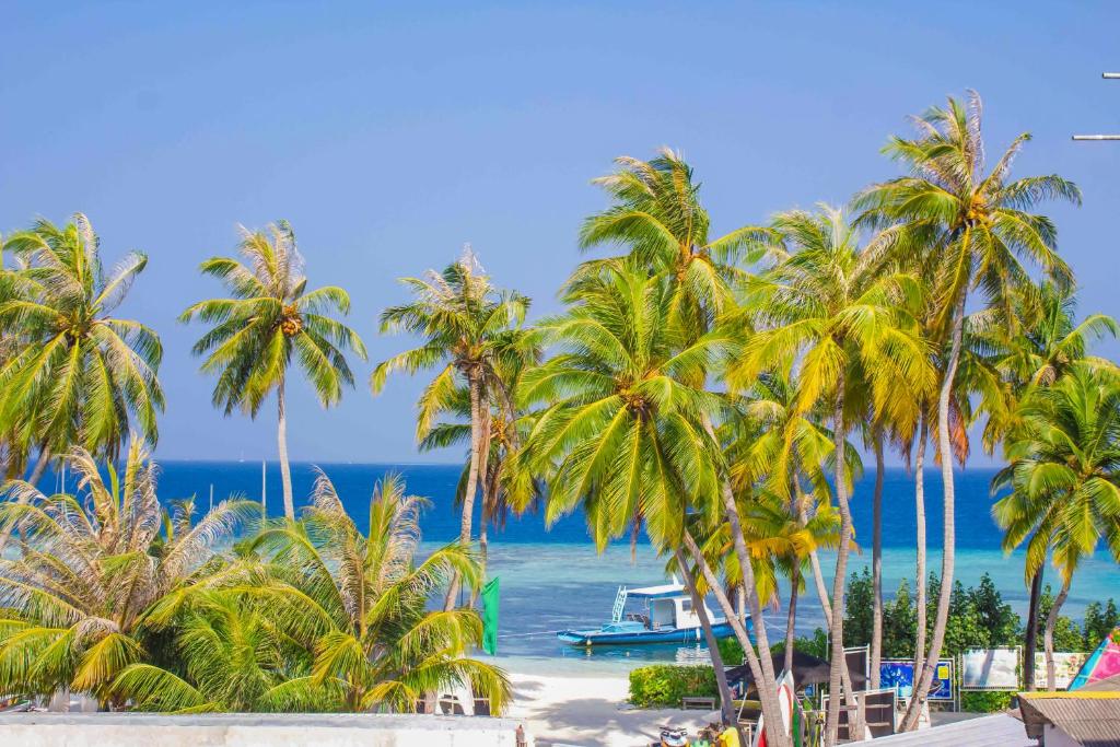 Отель, Каафу Атолл, Мальдивы, White Shell Island Hotel & Spa