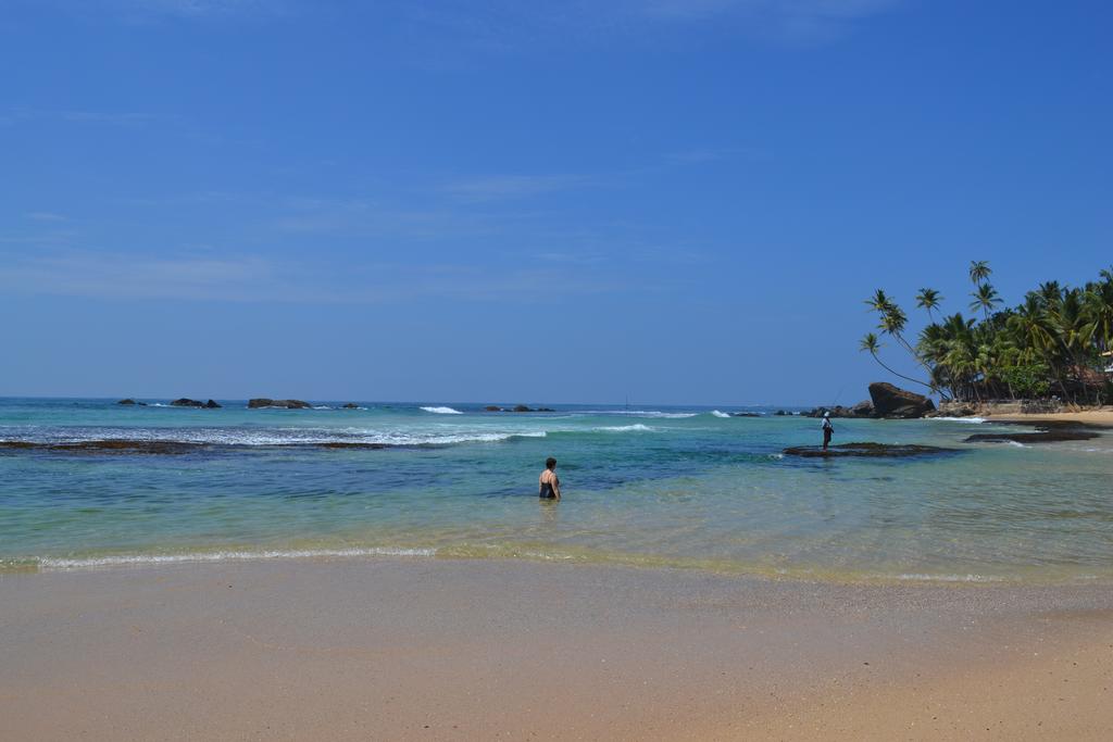 Отдых в отеле Sri Gemunu Beach Resort Унаватуна Шри-Ланка