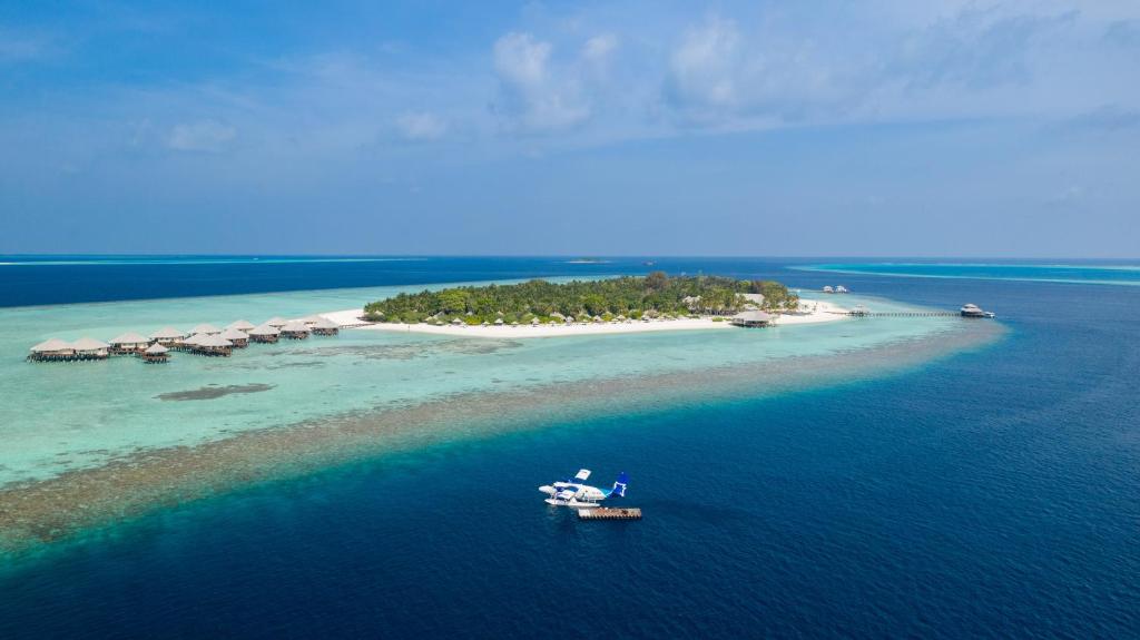 Tours to the hotel Kihaa Maldives
