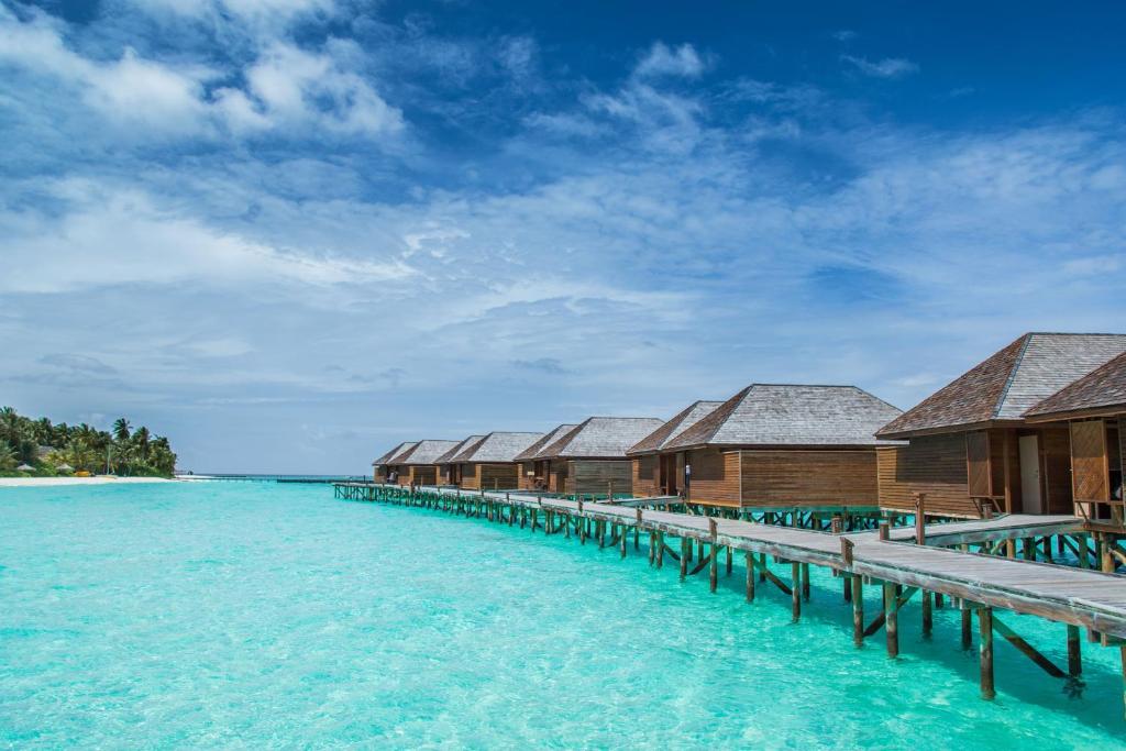 Отель, Мальдивы, Ари & Расду Атоллы, Veligandu Island Resort