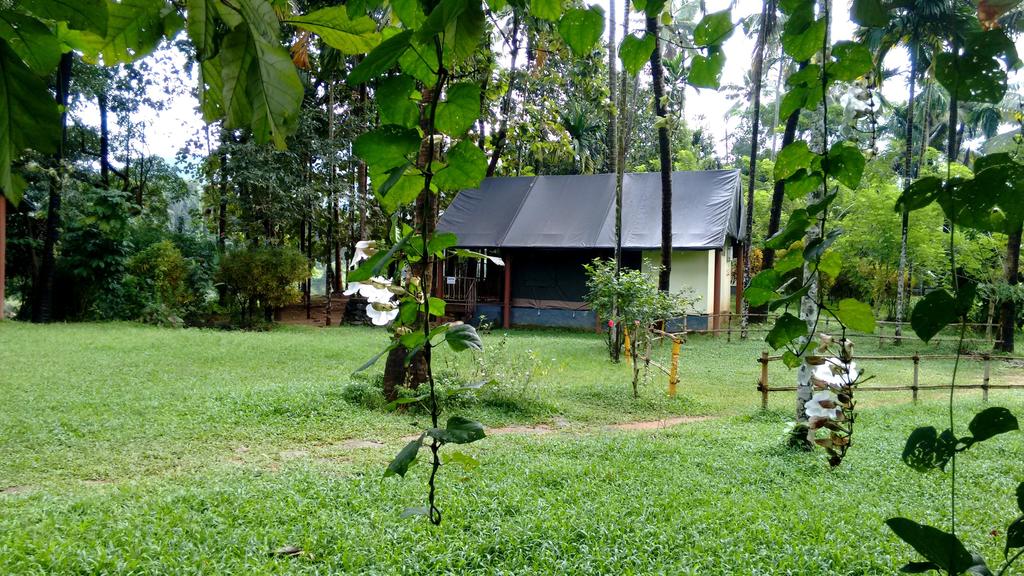 Hornbill Camp, India, Cochin, tours, photos and reviews