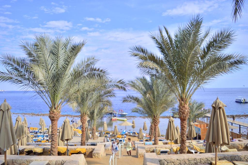 Xperience Sea Breeze Resort Egypt prices