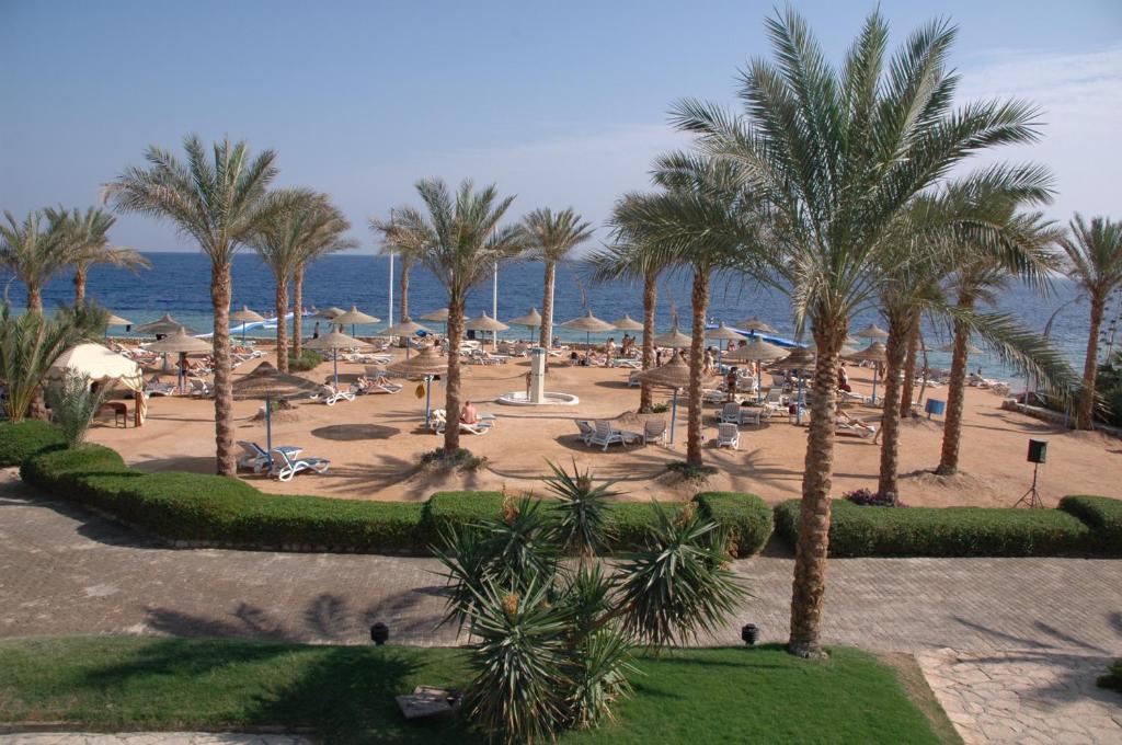 Отель, Шарм-эль-Шейх, Египет, Queen Sharm Resort (ex. Vera Club Queen Sharm Beach)