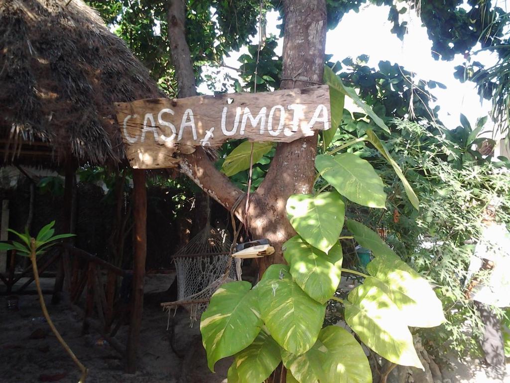 Casa Umoja, Нунгви, фотографии туров
